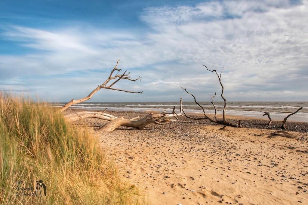 Covehithe House-Coastal Luxury- Sleeps 12-With Huge Swimspa! Wrentham Eksteriør billede
